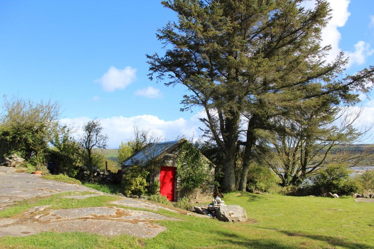 Cherry Tree - Cosy 19th Century * Claragh