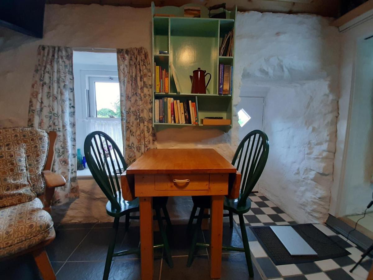 Cherry Tree - Cosy 19th Century * Claragh