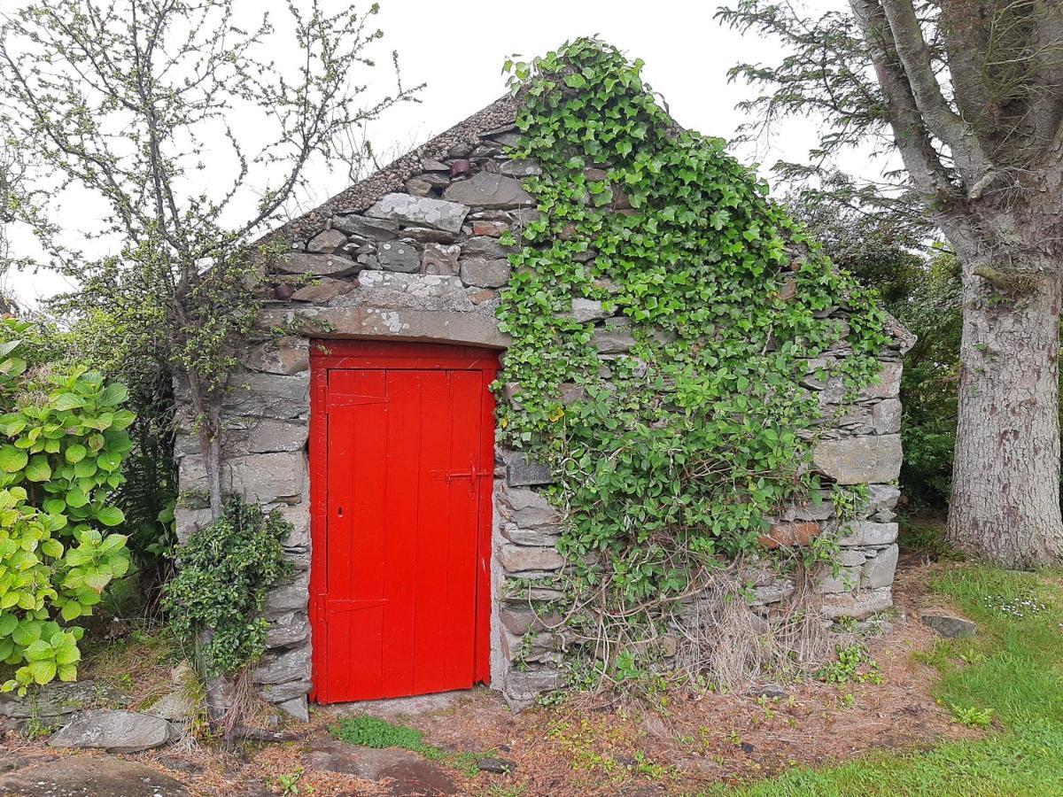 Cherry Tree - Cosy 19th Century Claragh